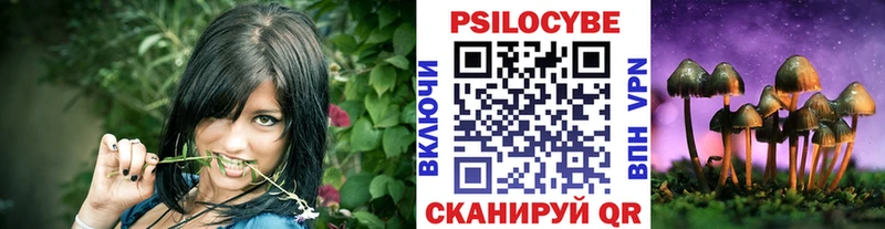 хочу   ссылка на мегу рабочий сайт  Псилоцибиновые грибы Psilocybine cubensis  Карабулак 